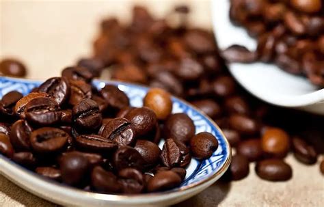 Arabica Vs Robusta Coffee: What is the Difference? - Craft Coffee Guru