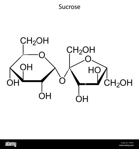 Fórmula esquelética molécula química de sacarosa Imagen Vector de stock - Alamy