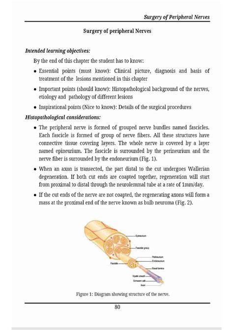 Surgery of peripheral nerve - central nervous system - Studocu