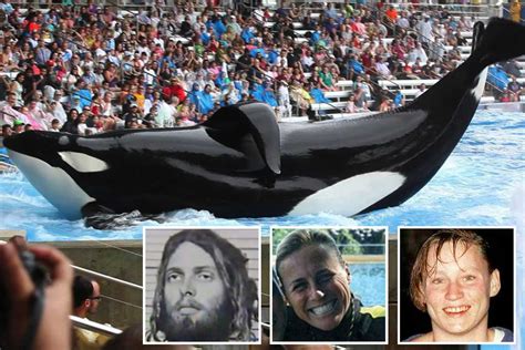 How 'psychotic' SeaWorld orca Tilikum turned serial killer and mauled three people to death ...