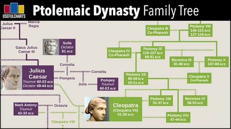 Ptolemaic Dynasty Family Tree | Family tree, Ptolemaic dynasty ...