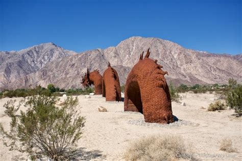 Galleta Meadows Metal Sculptures in Borrego Springs | California Through My Lens