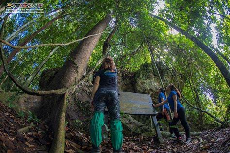 Danum Valley Conservation Area - Downbelow Adventures Borneo