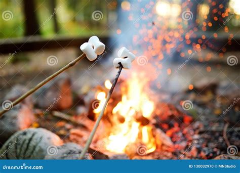 Roasting Marshmallows on Stick at Bonfire. Having Fun at Camp Fire ...