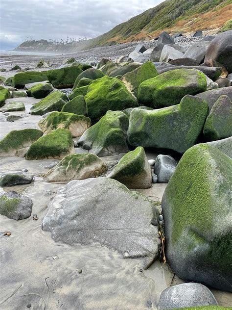 Moss on the Rocks Photograph by Julie Murdoch - Fine Art America