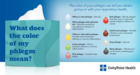 Phlegm Cheat Sheet: Recognizing Normal and Concerning Colors and ...