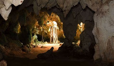 The largest cave system in The Bahamas, Hamilton's Cave features stalactites and stalagmites ...