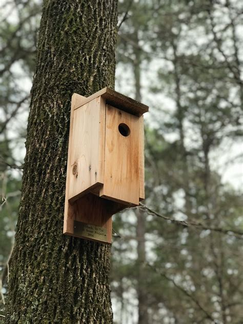 Brown Wooden Bird House Hanging on Tree · Free Stock Photo