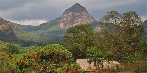 Bale Mountain National Park Trekking