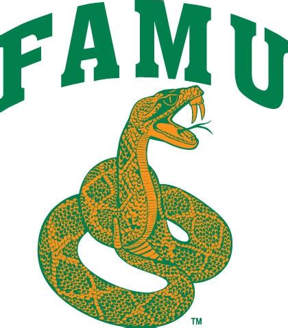 27 best FAMU images on Pinterest | Alma mater, Colleges and Pride