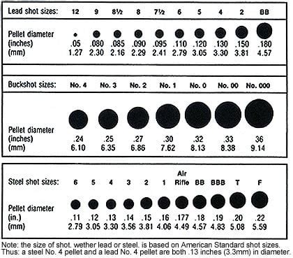 How Many Pellets Are In A 12-gauge Shotgun Shell? Quora