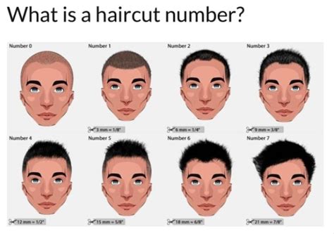 8 Different Haircut Numbers And Hair Clipper Sizes Guide (2024) - Hair Everyday Review