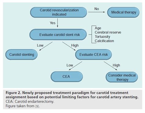 Patient-specific treatment allocation for carotid artery disease