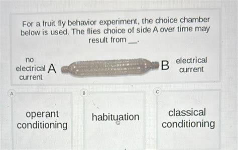 [ANSWERED] A For a fruit fly behavior experiment the choice chamber - Kunduz