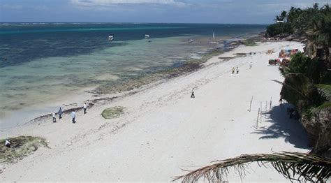 Nyali beach, Mombasa, Kenya - Ultimate guide (December 2024)