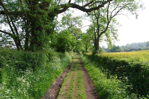 Cotswold Way Forest Trail