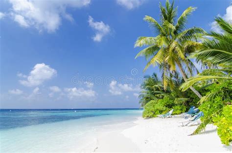 Beach in Maldives. Private beach in a resort island, Maldives , #Aff, #Private, #Maldives, # ...