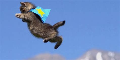 Flying Cats