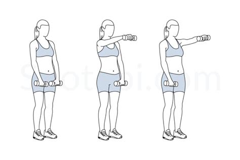 Dumbbell Front Raise | Illustrated Exercise Guide