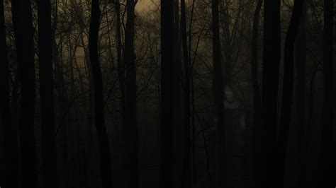 Spooky Forest Wallpaper (68+ images)