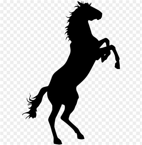 Free download | HD PNG horse vector png bronco horse PNG transparent with Clear Background ID ...