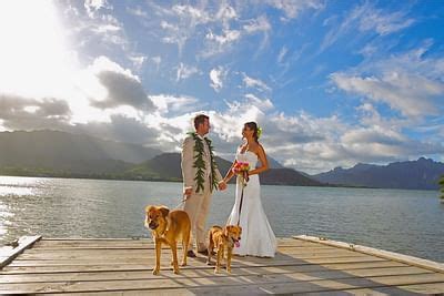 Tour Our Oahu Hotel on the Beach - Paradise Bay Resort - Paradise Bay ...