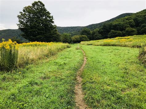 Doll Flats, Appalachian Trail in North Carolina : r/hiking