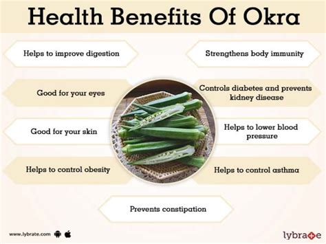 Share more than 70 okra benefits for hair - in.eteachers