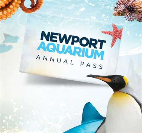 Newport Aquarium | Newport Aquarium | Newport aquarium, Newport, Aquarium