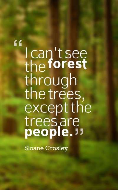 45 Inspirational Forest Quotes And Sayings