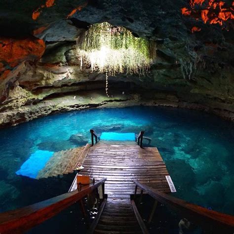 Devil's Den, Florida | Dive | Florida springs, Florida pictures, Florida travel