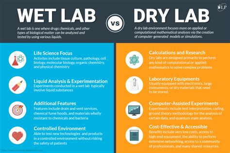 Wet Lab vs. Dry Lab for Your Life Science Startup