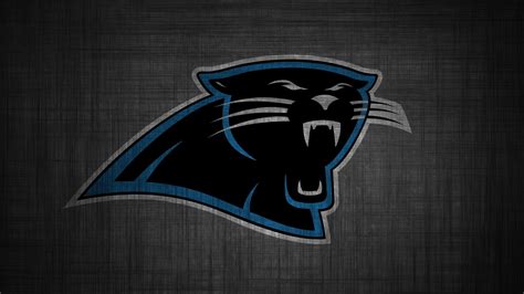 Carolina Panthers Wallpapers - 4k, HD Carolina Panthers Backgrounds on ...