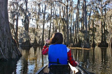 Canoeing Caddo Lake | Caddo lake state park, Texas state parks, Canoe