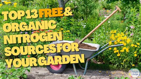 13 FREE and Organic Nitrogen Sources for Your Garden - YouTube