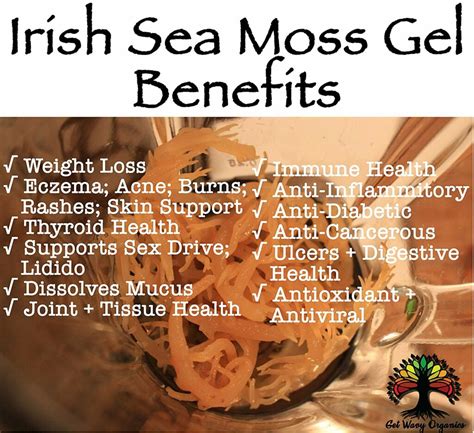 Sea Moss Tea Recipe - Health Benefits « Eat Algae