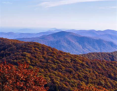 [OC] Blue Ridge Mountains in Autumn from Brasstown Bald - Northeast Georgia (3000x2347) : r ...