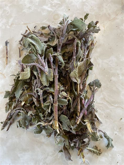 Sage Harvest - Old Rectory Farms