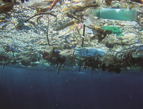 Plastics in the Ocean: How They Get There, Their Impacts, and Our Solutions | OR&R's Marine ...