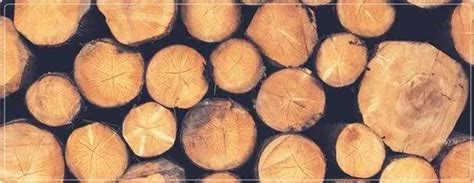 Gmelina Wood at Best Price in India