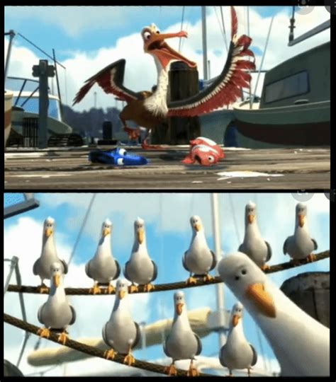 Finding Nemo Seagulls Memes - Imgflip