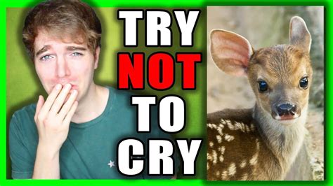 TRY NOT TO CRY CHALLENGE 3! - YouTube