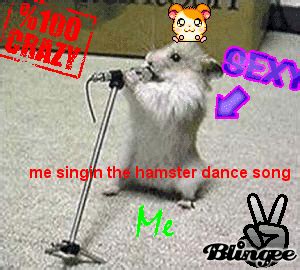 hamster dance song Picture #99718551 | Blingee.com