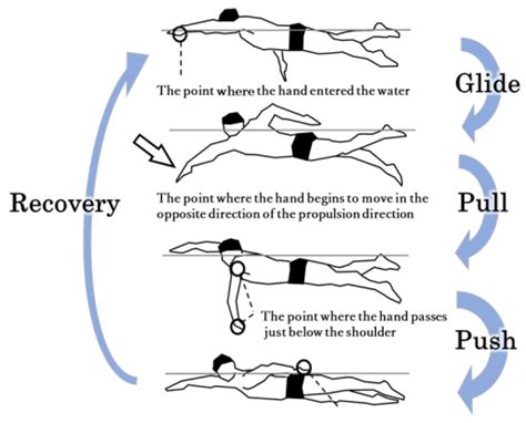 Biomechanics | Free Full-Text | Relationship between Swimming Velocity ...