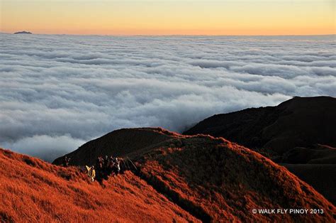 Mount Pulag, Philippines | Visit philippines, Places to visit, Natural landmarks