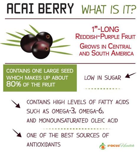 Acai Berry Side Effects Acai Berry Diet Oprah - dolphinnews