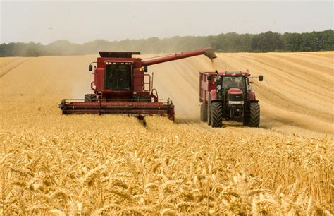 Record Crop Yields Contradict Climate Doomsters' Claims