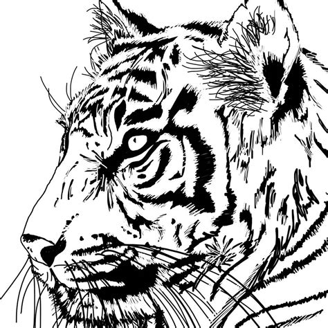 Tiger line drawing: modern by bymarie, modern | homify