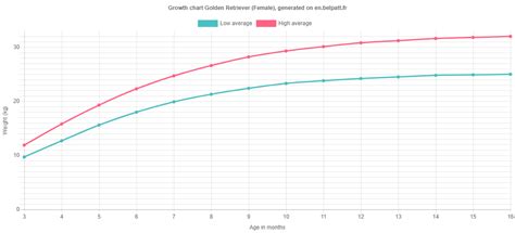 Golden Retriever Puppy Growth Chart