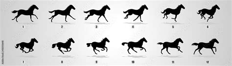 Horse Run cycle, Animation, Sprites, Sprites sheets, Animation frames, sequence, Stock Vector ...